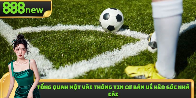 Một vài thông tin cần nắm được về khái niệm kèo góc nhà cái